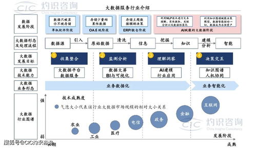 《中國(guó)商業(yè)大數(shù)據(jù)服務(wù)行業(yè)藍(lán)皮書》發(fā)布 洞見未來，數(shù)據(jù)賦能社會(huì)經(jīng)濟(jì)咨詢新篇章